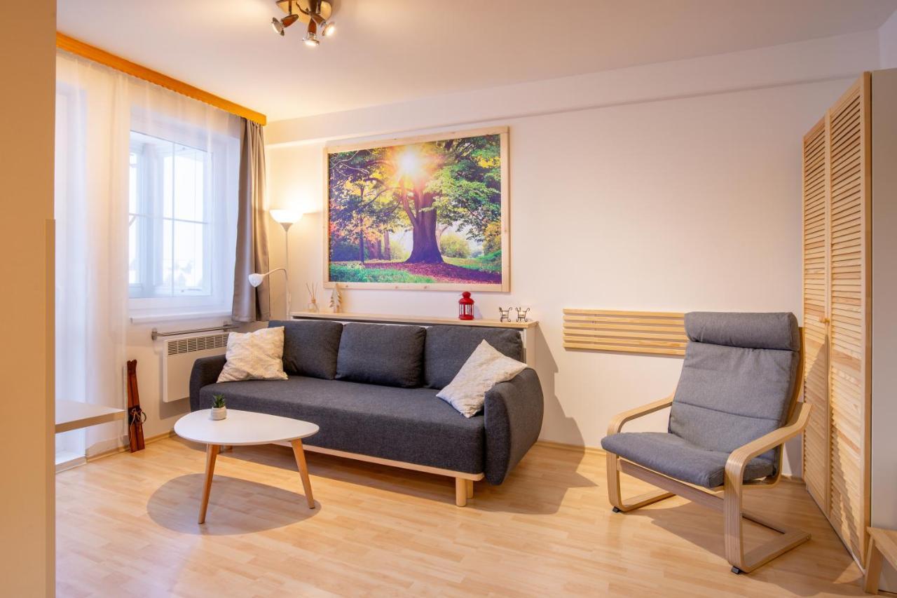 Apartmany D U Sjezdovky - هورني ميسيكي المظهر الخارجي الصورة